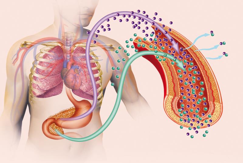 High-dose semaglutide improves glucose metabolism outcomes in overweight/obese patients with T2D