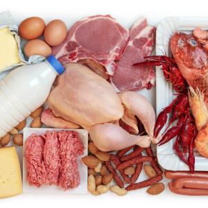 Early high protein provision lowers mortality in ICU patients