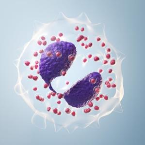 Targeting IL-5 in hypereosinophilic diseases: From bench to bedside