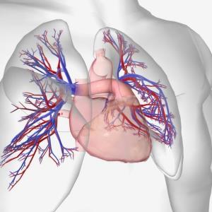 Achieving low-risk status in PAH with prostacyclin receptor agonist–based triple therapy