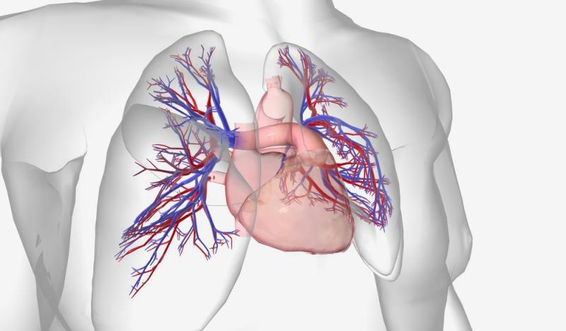 Achieving low-risk status in PAH with prostacyclin receptor agonist–based triple therapy