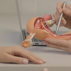 Transvaginal sonography accepted by women with PMB if high endometrial Ca detection rate