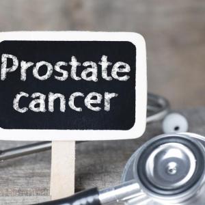 Extragonadal steroids influence androgen receptor activity, castration resistance in prostate cancer