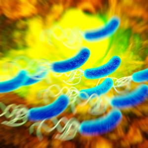 Nitroimidazole exposure may dampen efficacy of triple therapy in H. pylori infection