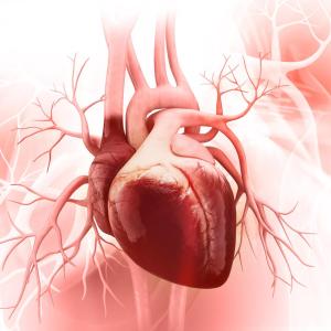 3-vessel CAD outcomes comparable with fractional flow reserve-guided PCI vs CABG