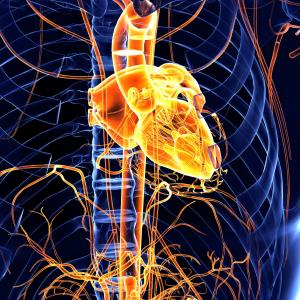 Myocarditis not uncommon in cancer patients on immune checkpoint inhibitors