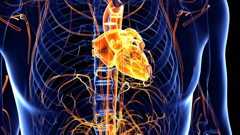 Myocarditis not uncommon in cancer patients on immune checkpoint inhibitors