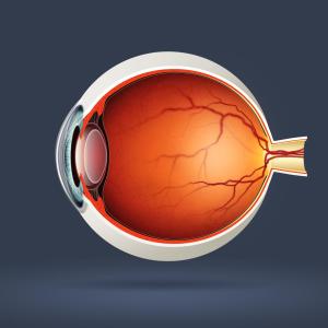 Continuous aflibercept injections yield better outcomes in neovascular AMD