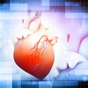 BNP predicts adverse events in apical hypertrophic cardiomyopathy