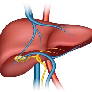 Liver injury unlikely to cause death in certain COVID-19 patients