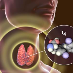 Subclinical hyperthyroidism not a risk factor for MACE in PCI patients