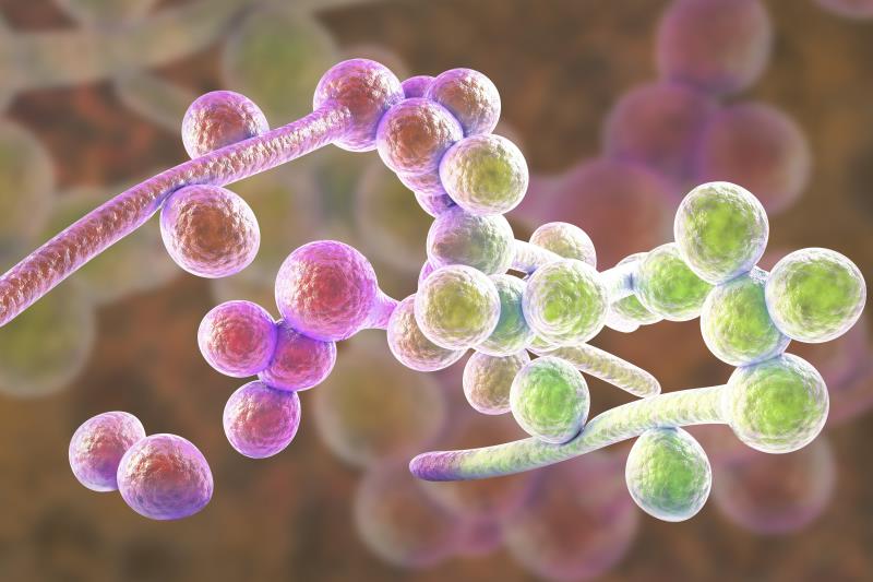 Early diagnosis, antifungal therapy improve outcomes in children with invasive fungal sinusitis