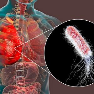 Current management of nosocomial and community-acquired pneumonia in ICU patients with novel antibiotics