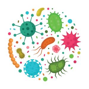 Dalbavancin an effective treatment option for serious gram-positive infections