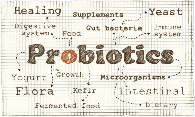 Probiotics help relieve chemo-induced diarrhoea