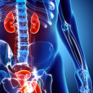 Cognitive, dexterity disorders prevalent in men with AUS implant