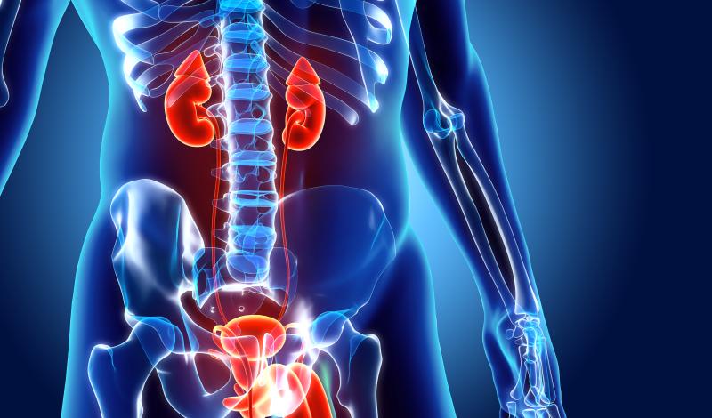 Cognitive, manual dexterity disorders prevalent in men with AUS implant