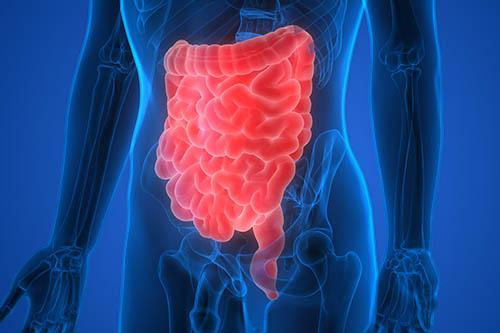 Early diet provision into GI tract likely to stimulate gut motility after colorectal surgery