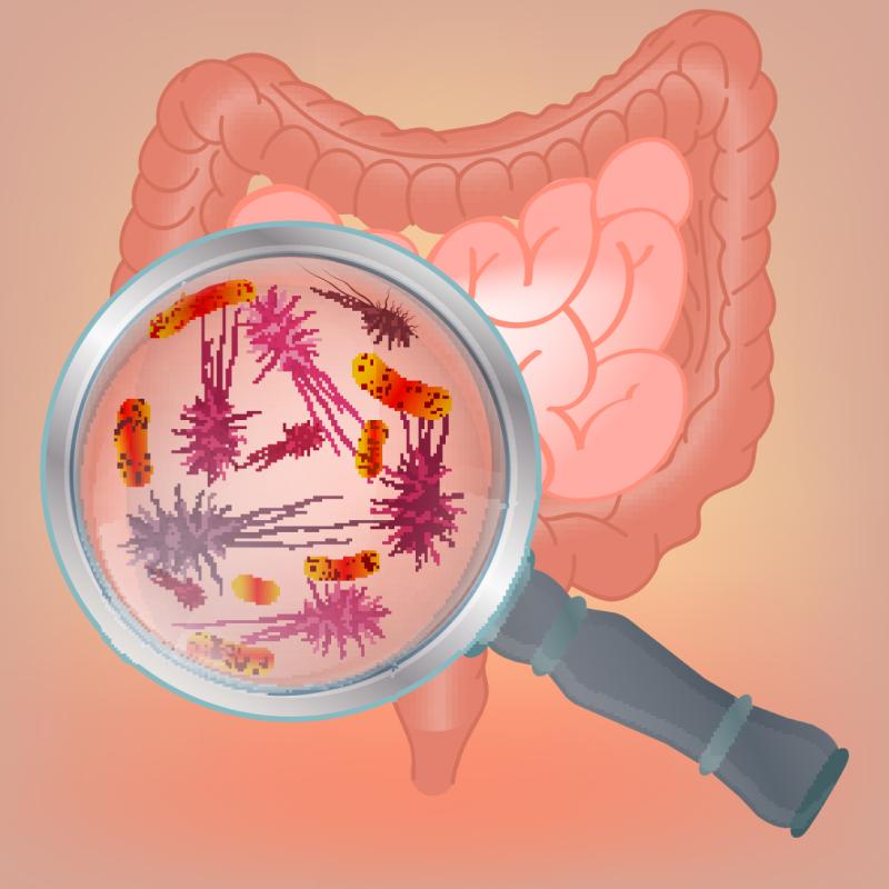 COVID-19 disrupts balance of faecal microbiome