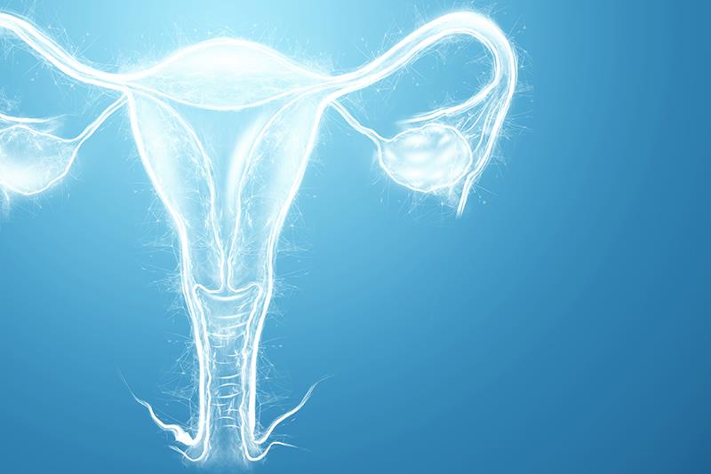Infertile women may benefit from oil-based contrast during HSG