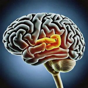 Increased risk of inflammatory CNS diseases following anti-TNF therapy for autoimmune diseases