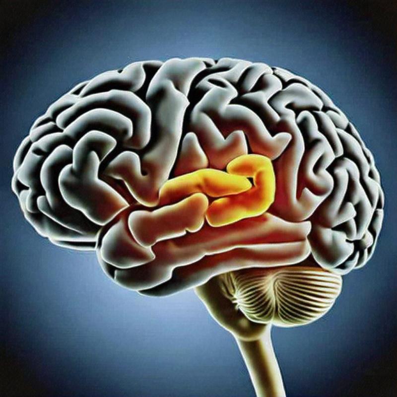 Increased risk of inflammatory CNS diseases following anti-TNF therapy for autoimmune diseases
