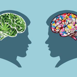 Cannabinoids ineffective for mental disorders