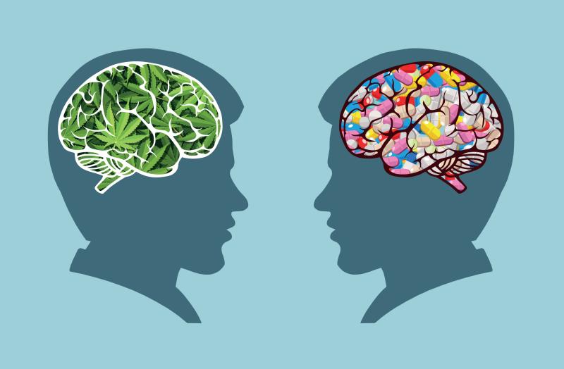 Insufficient evidence to support pharmaceutical cannabinoids for mental disorders