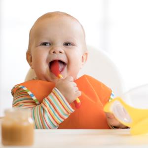 Introducing infants to a reduced protein Nordic diet may set better eating habits