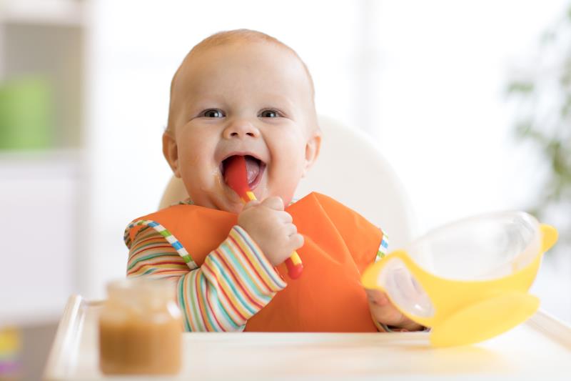 Introducing infants to a reduced protein Nordic diet may set better eating habits