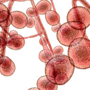 Atrophic gastritis, PPI use amplify EC risk in immunocompetent patients