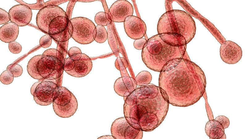 Atrophic gastritis, PPI use amplify EC risk in immunocompetent patients