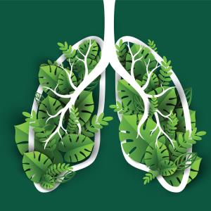 First-line therapies for advanced NSCLC improve survival, QoL