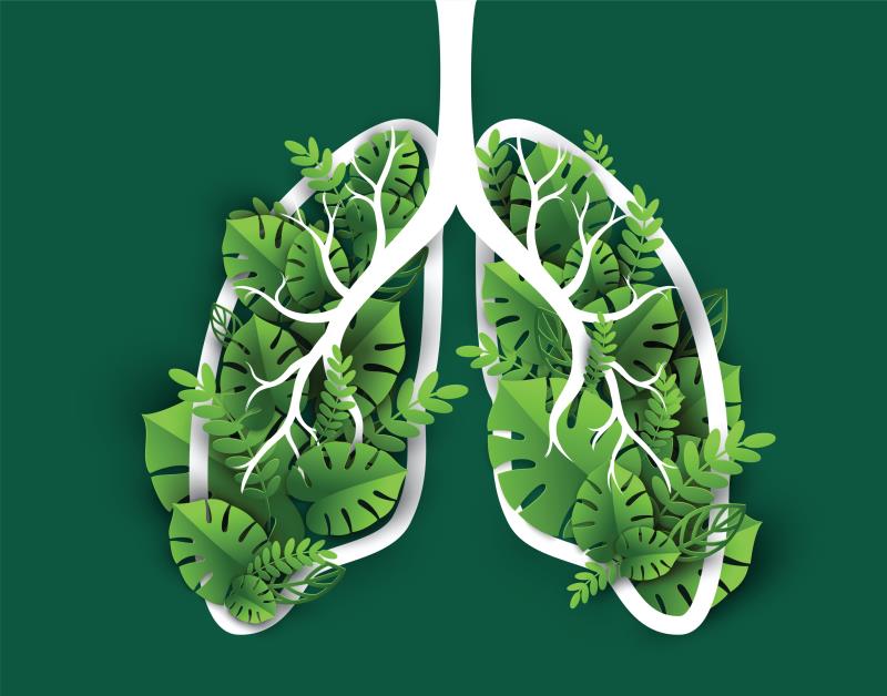 First-line therapies for advanced NSCLC improve survival, QoL