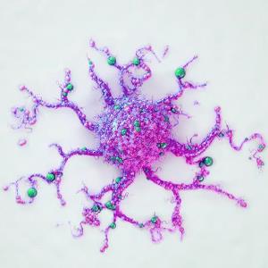 Conservative excisional margin for small MIS tied to low recurrence
