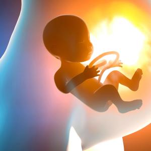 Pregnancy after liver transplant tied to complications, higher healthcare cost