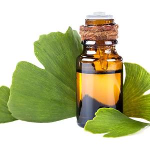 IV ginkgo may boost brain recovery after stroke