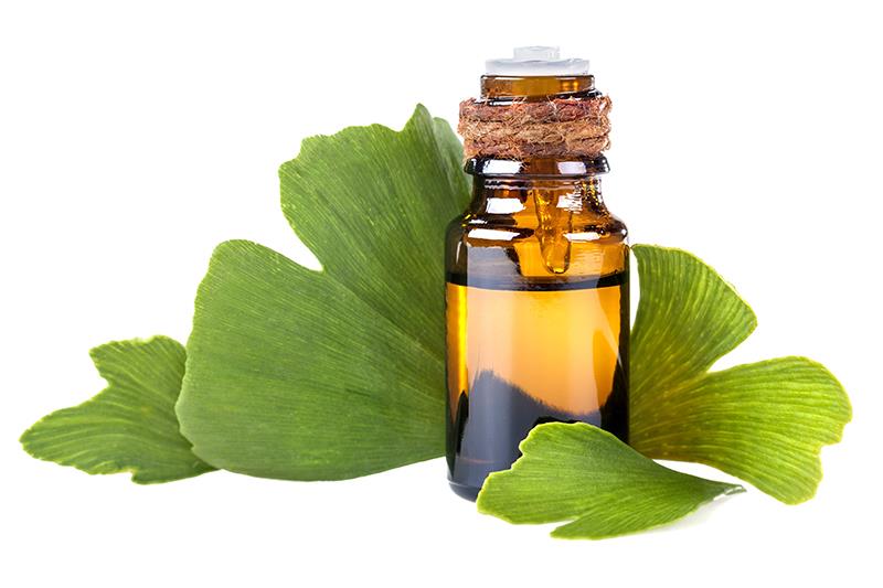 IV ginkgo may boost brain recovery after stroke