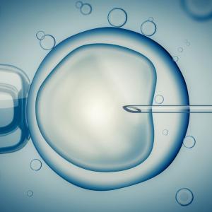 IVF may increase risk for hypertensive disorders of pregnancy