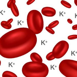 Potassium binder allows optimized MRA therapy in hyperkalaemic HFrEF patients