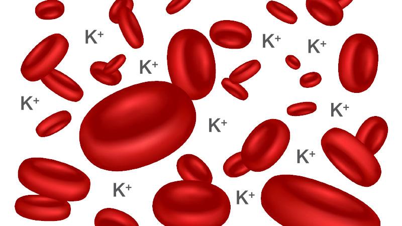 Potassium binder allows optimized MRA therapy in hyperkalaemic HFrEF patients