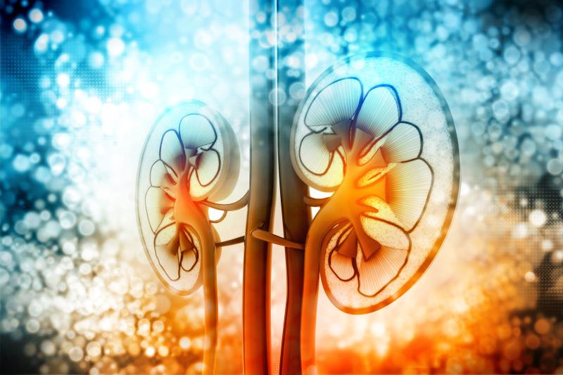 Sofosbuvir easy on the kidneys