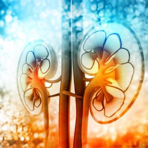 MAFLD drives up risk of chronic kidney disease in diabetic individuals