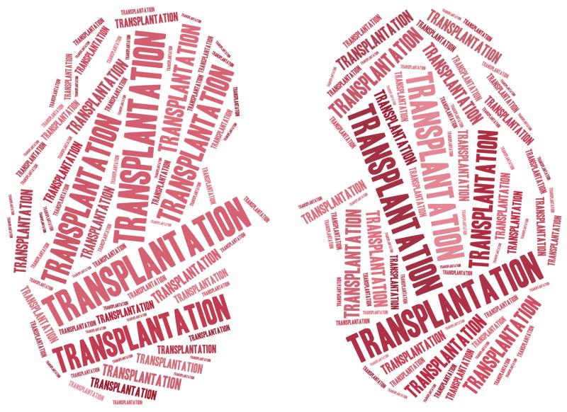 Donor hypertension worsens graft survival, function in kidney recipients