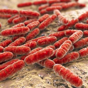 Control measures needed in water systems to reduce Legionellae infection