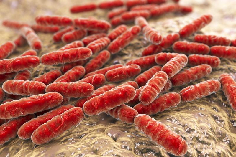 Control measures needed in water systems to reduce Legionellae infection