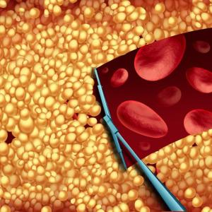 Alirocumab lowers LDL-C in homozygous familial hypercholesterolaemia