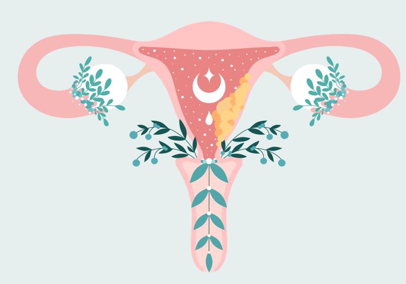 Add-on immunotherapy prolongs survival in advanced endometrial cancer