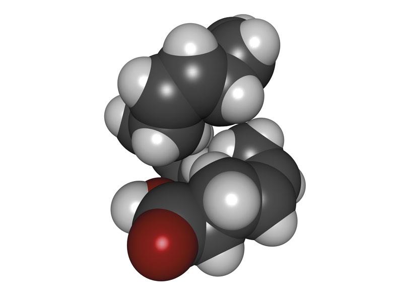 Dietary linoleic acid helps prevent death from CVD, cancer