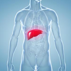 HBeAg status implicated in liver pathology in chronic hepatitis B